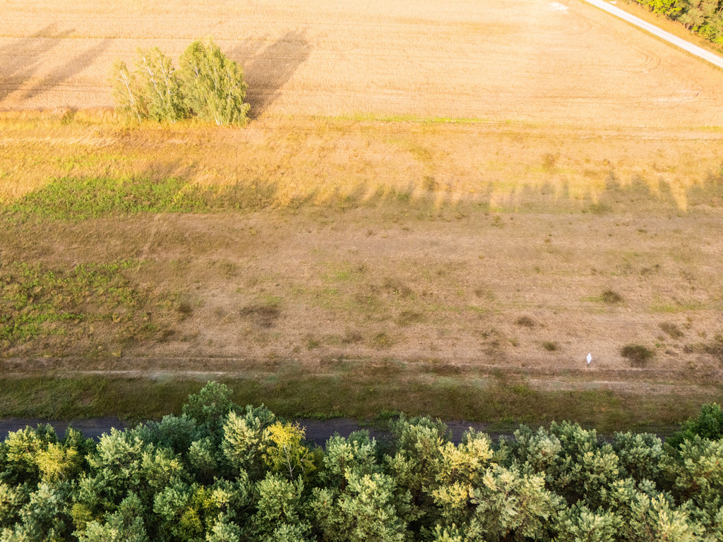 Inwestycja w ciszę: Działki z WZ za 59 tys. zł