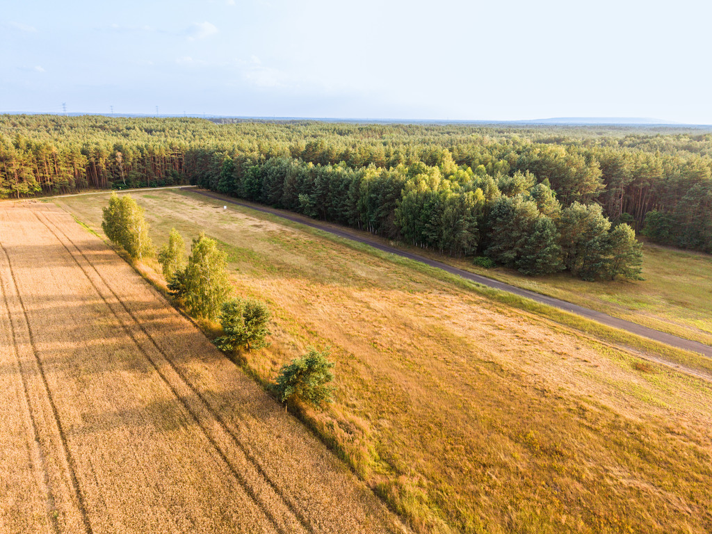 Inwestycja w ciszę: Działki z WZ za 59 tys. zł