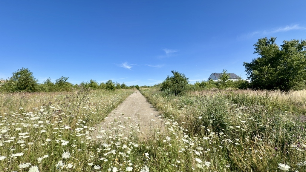 Wołczkowo | 805 m² | MPZP | Badania gruntu |