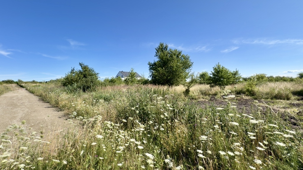 Wołczkowo | 805 m² | MPZP | Badania gruntu |
