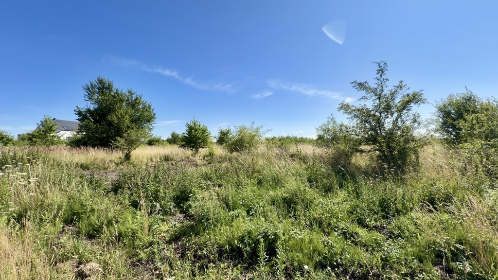 Wołczkowo | 805 m² | MPZP | Badania gruntu |