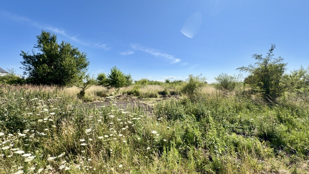 Wołczkowo | 805 m² | MPZP | Badania gruntu |