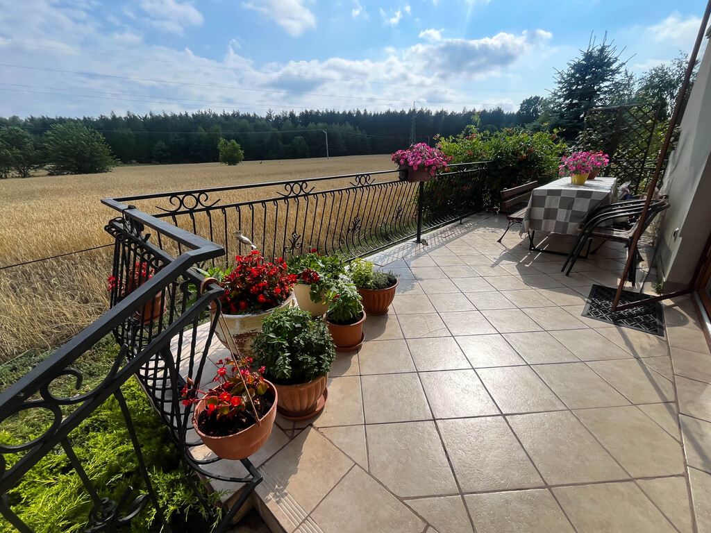Dom przy lesie 193m2 działka 3050m2 Magonie