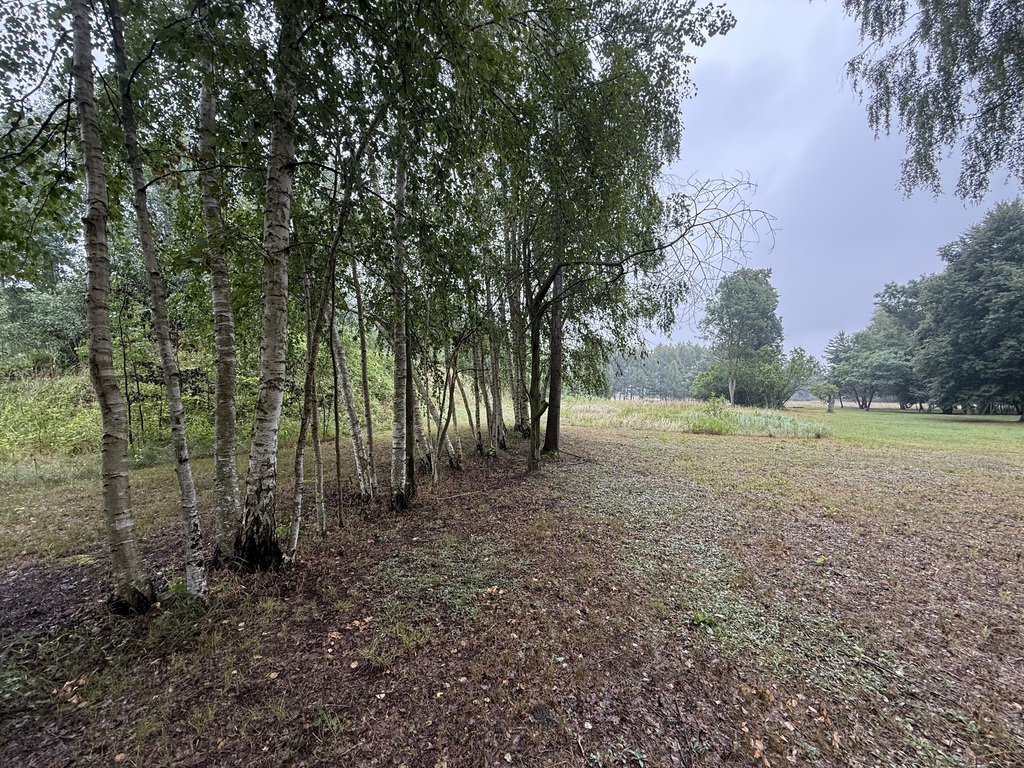 Siedlisko z potencjałem blisko A2 - DOM i CISZA