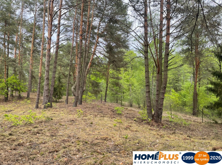 Działka w lesie 2064 m² - letniskowa i całoroczna