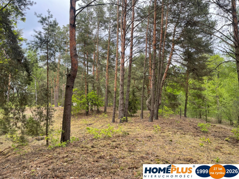Działka w lesie 2064 m² - letniskowa i całoroczna