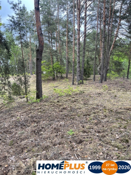Działka w lesie 2064 m² - letniskowa i całoroczna