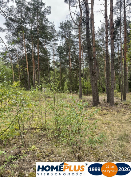 Działka w lesie 2064 m² - letniskowa i całoroczna