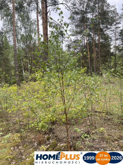 Działka w lesie 2064 m² - letniskowa i całoroczna