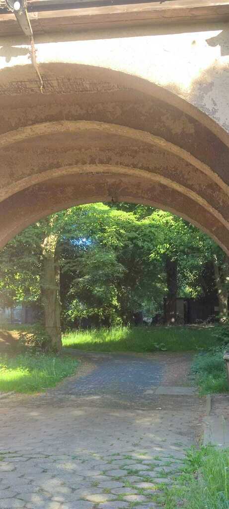 Mieszkanie z ogrodem – Szczecin, ul. Cegłówka