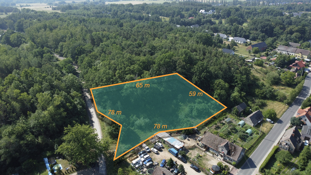 Wybuduj dom na 1000 m2 w lesie. Świdnica