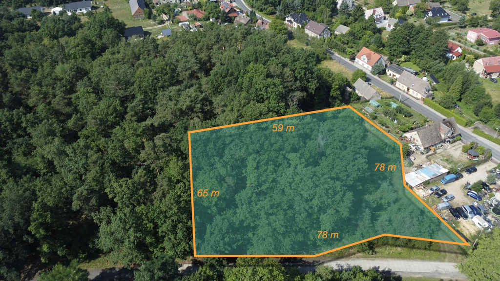 Wybuduj dom na 1000 m2 w lesie. Świdnica