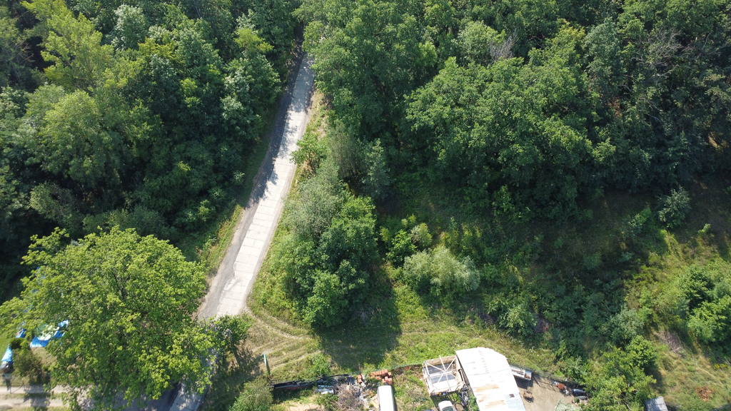 Wybuduj dom na 1000 m2 w lesie. Świdnica