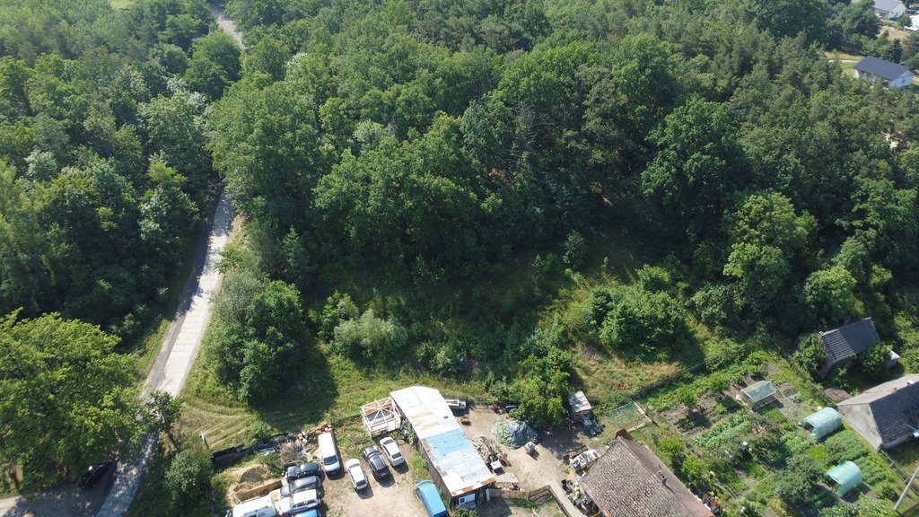 Wybuduj dom na 1000 m2 w lesie. Świdnica