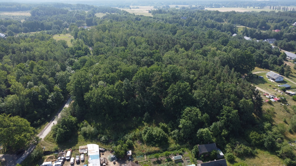 Wybuduj dom na 1000 m2 w lesie. Świdnica