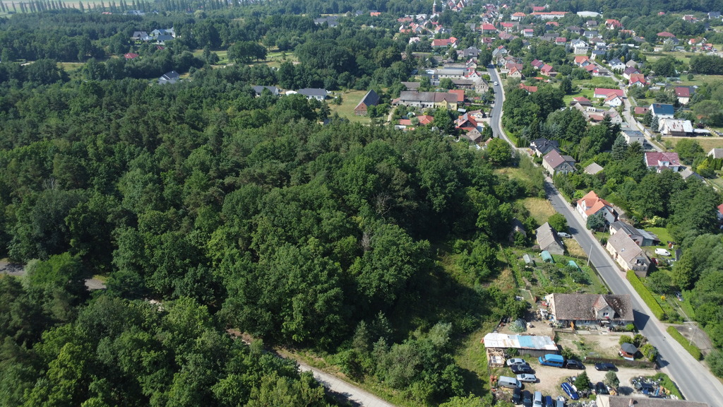 Wybuduj dom na 1000 m2 w lesie. Świdnica