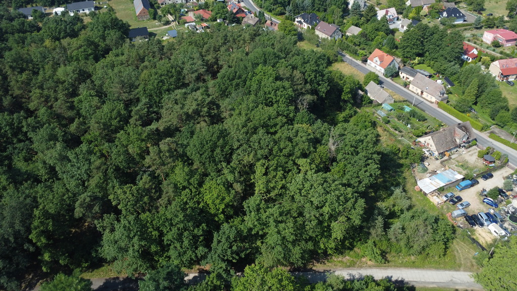 Wybuduj dom na 1000 m2 w lesie. Świdnica
