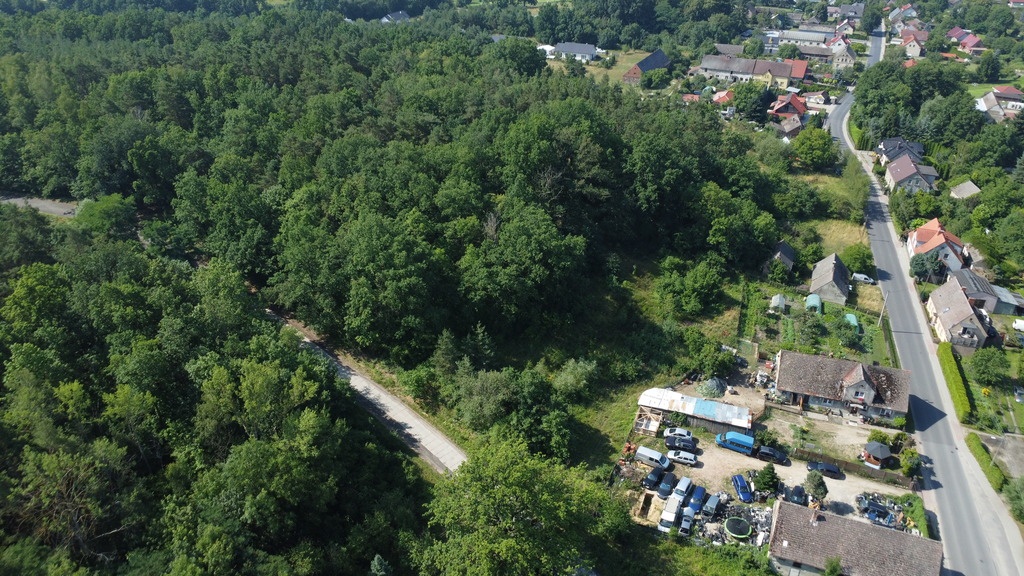 Wybuduj dom na 1000 m2 w lesie. Świdnica