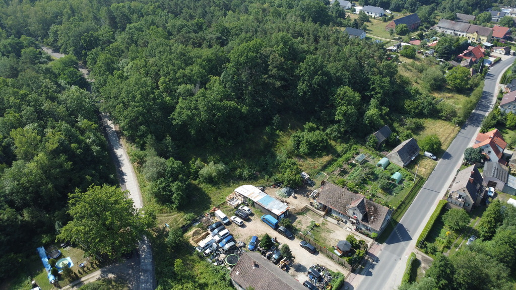 Wybuduj dom na 1000 m2 w lesie. Świdnica