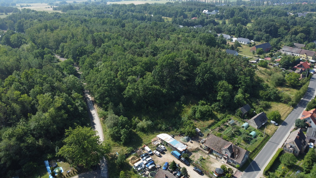Wybuduj dom na 1000 m2 w lesie. Świdnica