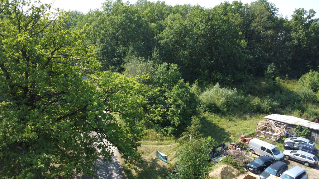 Wybuduj dom na 1000 m2 w lesie. Świdnica