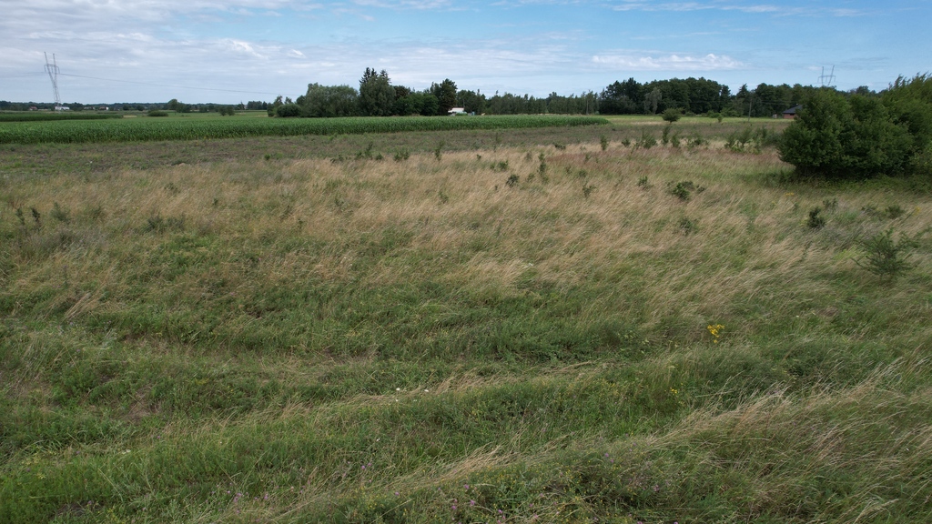 1685 m² natury z WZ. Buduj w Janowie Ruszki
