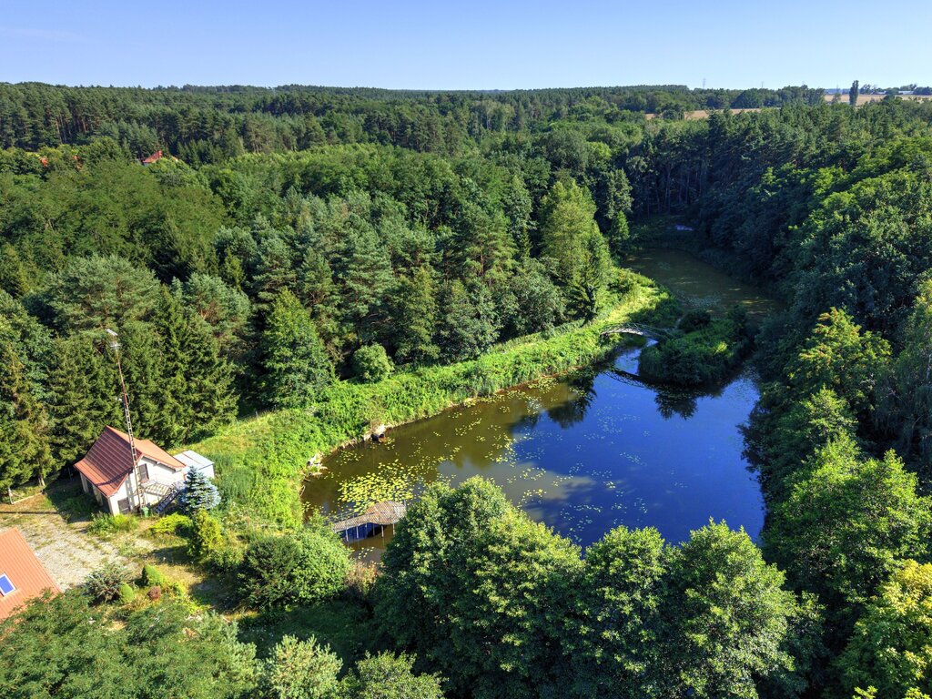 Działka Nojewo–natura-jeizora-MPZP-1715m2