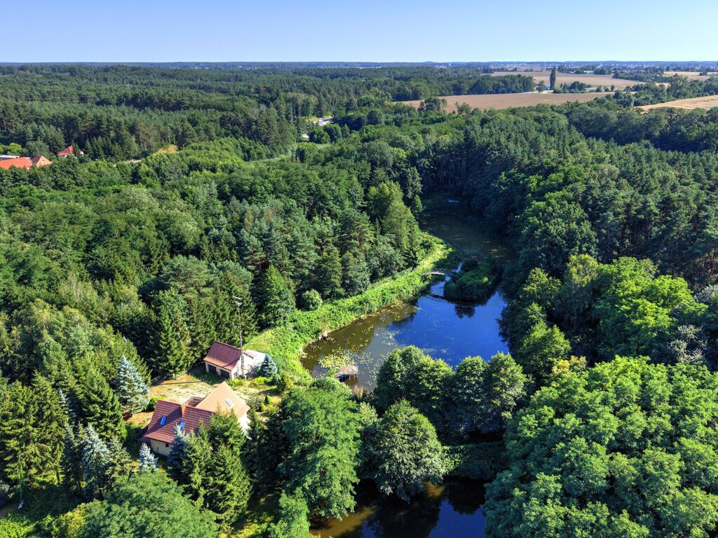 Działka Nojewo–natura-jeizora-MPZP-1715m2