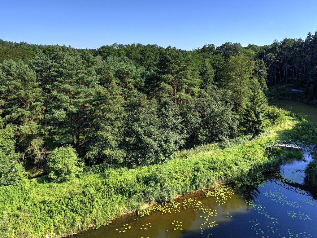 Działka Nojewo–natura-jeizora-MPZP-1715m2