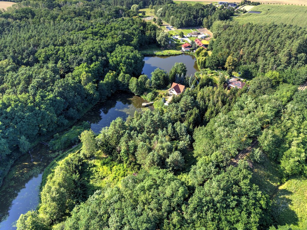 Działka Nojewo–natura-jeizora-MPZP-1715m2