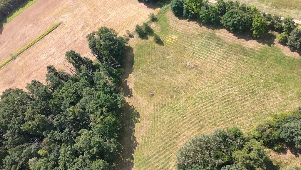 Atrakcyjna działka inwestycyjna w zieleni 19 złm2