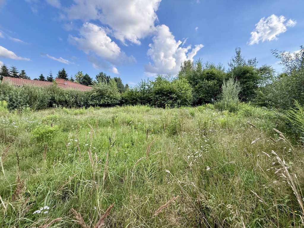 Bukowiec: Działka z WZ i pięknym Planem Ogólnym