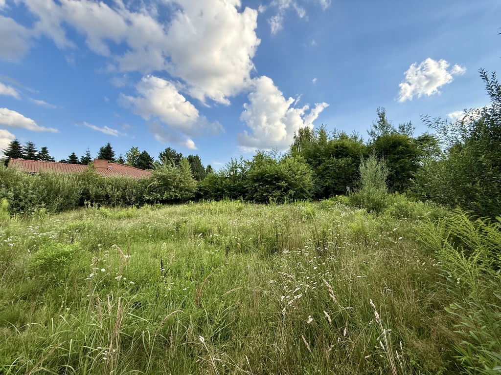 Bukowiec: Działka z WZ i pięknym Planem Ogólnym