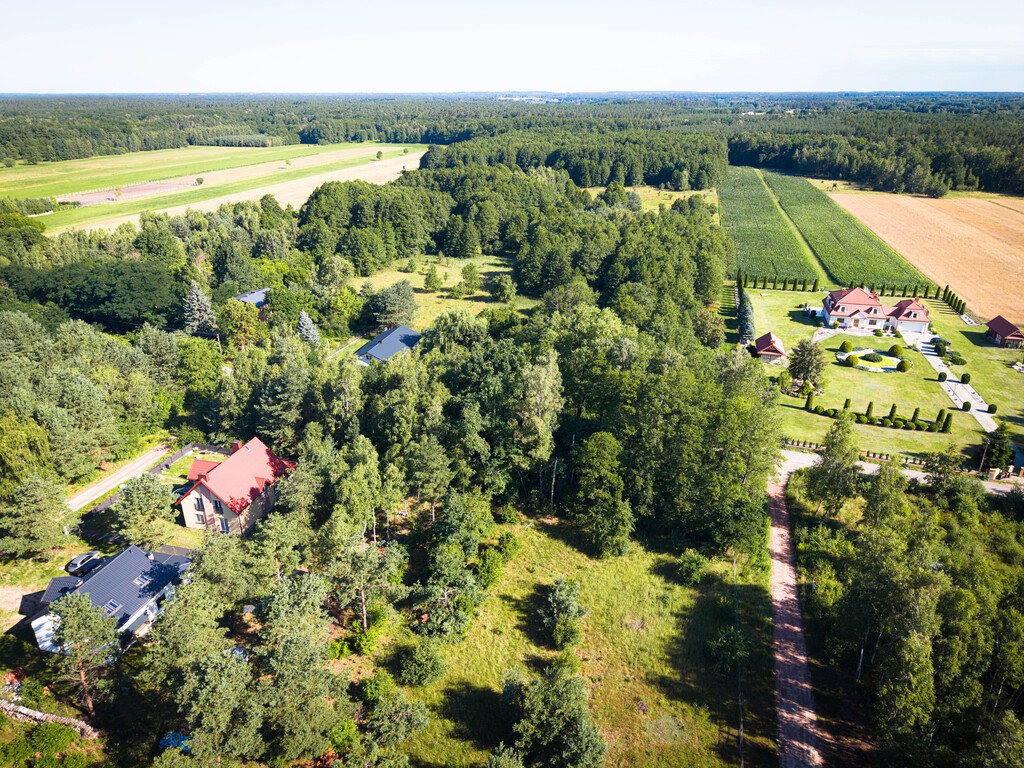 Zmieść dom i teściową! 1299 m² pod Łodzią