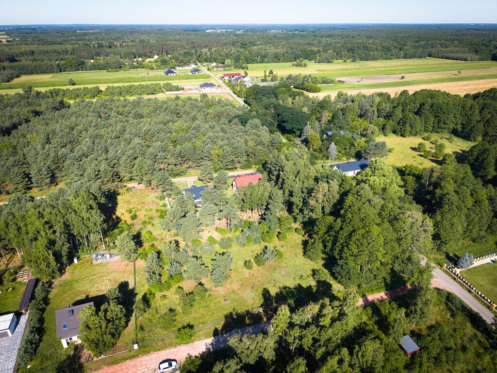 Zmieść dom i teściową! 1299 m² pod Łodzią
