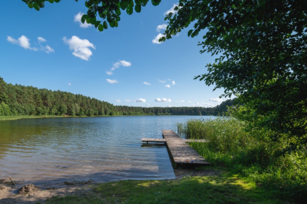 REZERWACJA Własna działka i domek