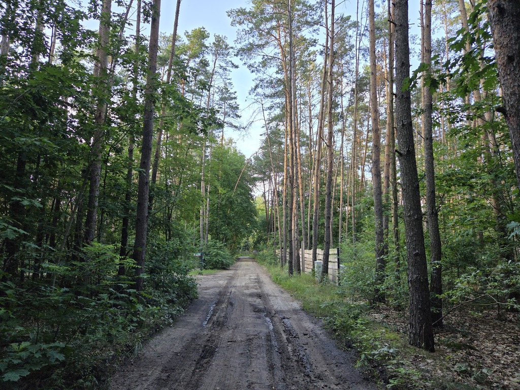 Zbuduj dom pośród drzew | 2022 m² | Wandzin