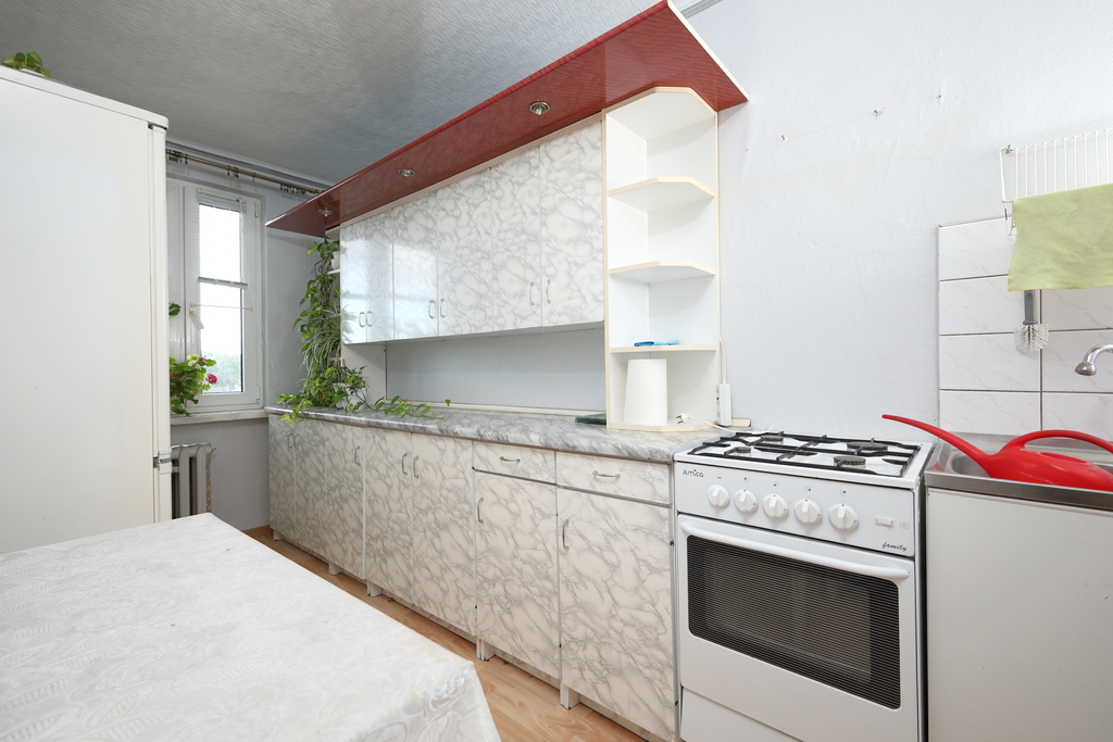 Mieszkanie 55 m², 2 pokoje, park, możliwość garażu