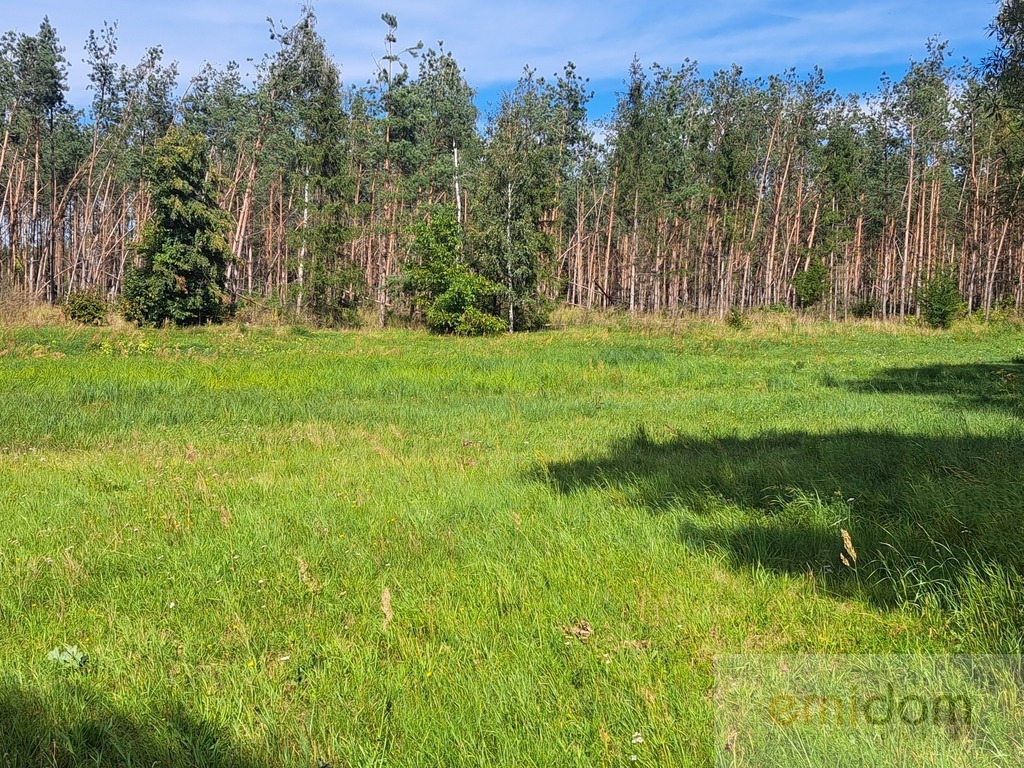 Działka | inwestycyjna nad  Biebrzą