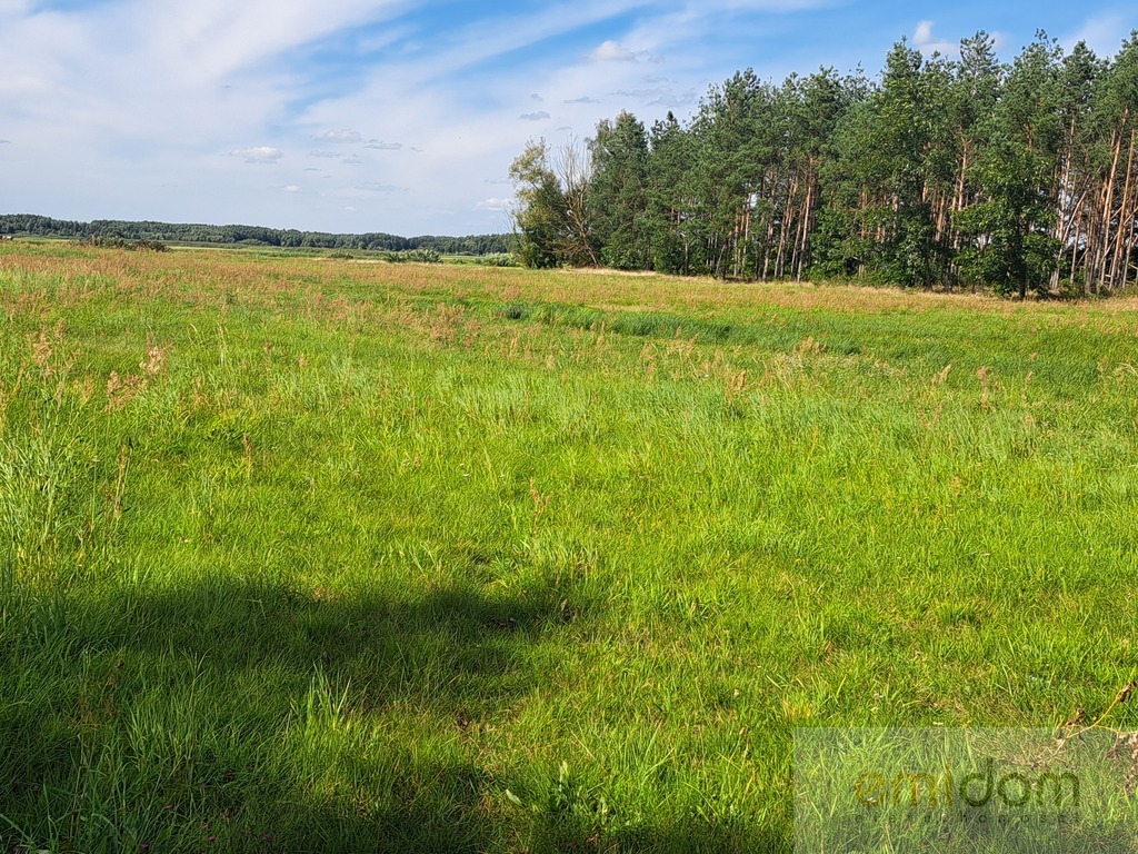 Działka | inwestycyjna nad  Biebrzą