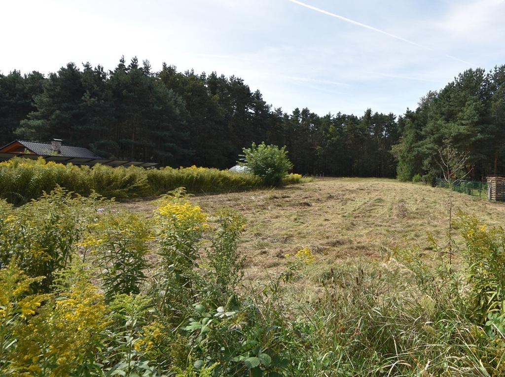 Sprzedaż domu z 3 dziakłami 33ar,Szczedrzyk,Opole.