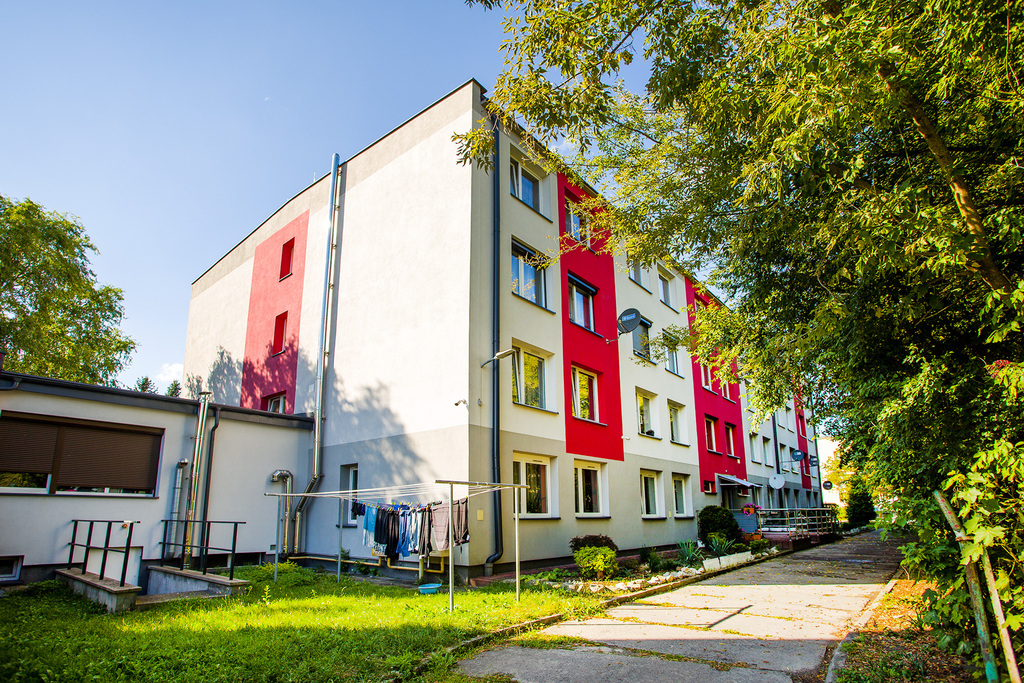 Metraż, który pokocha Twoja rodzina