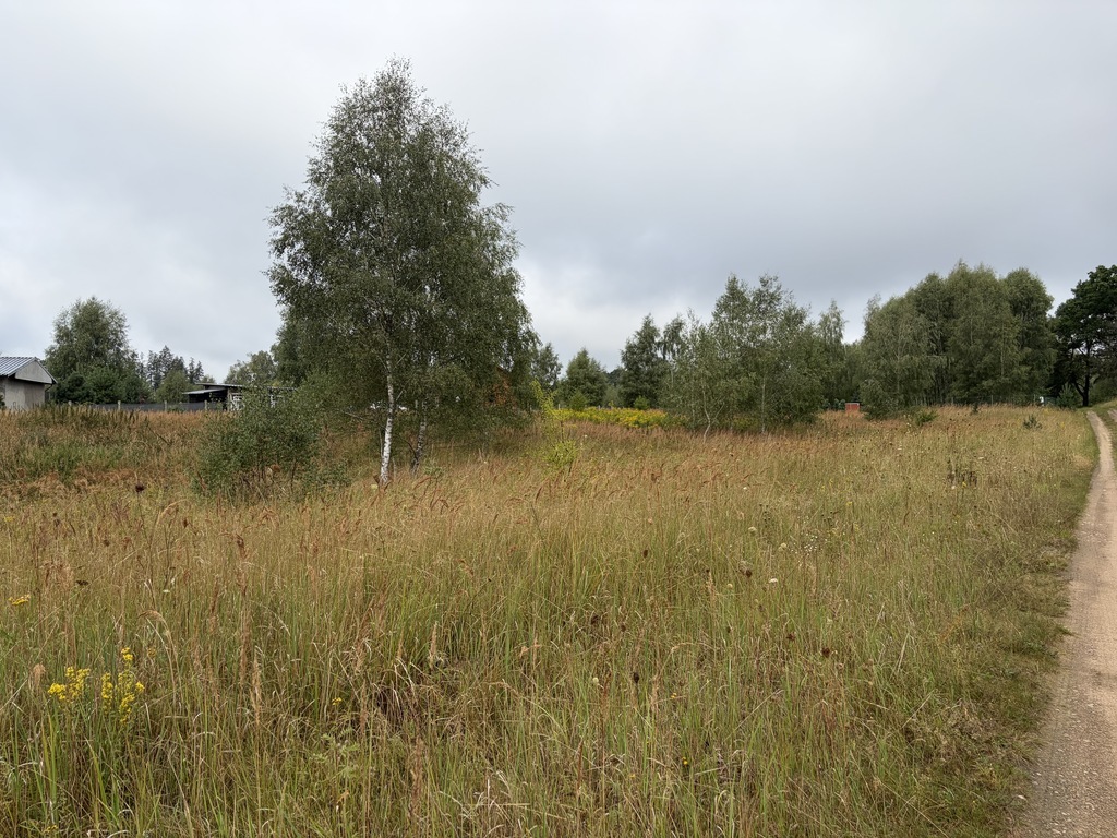 Działka rekreacyjna 3001 m² – Storkowo, gm. Ińsko