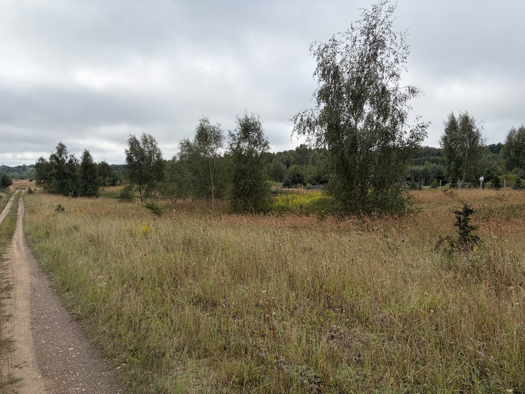 Działka rekreacyjna 3001 m² – Storkowo, gm. Ińsko