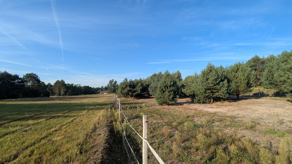 75 arów | 7 ar MN + 68 ar rolnych | Kazimierzów