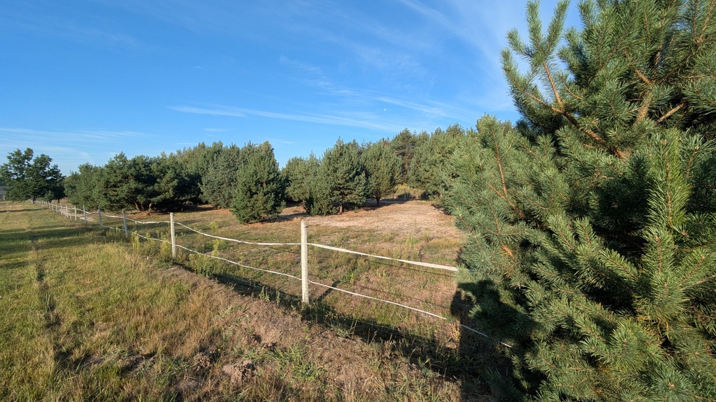 75 arów | 7 ar MN + 68 ar rolnych | Kazimierzów
