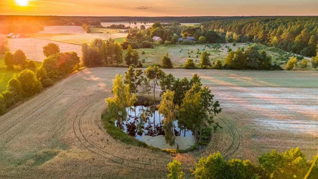 Widok na las, 5 min od miasta