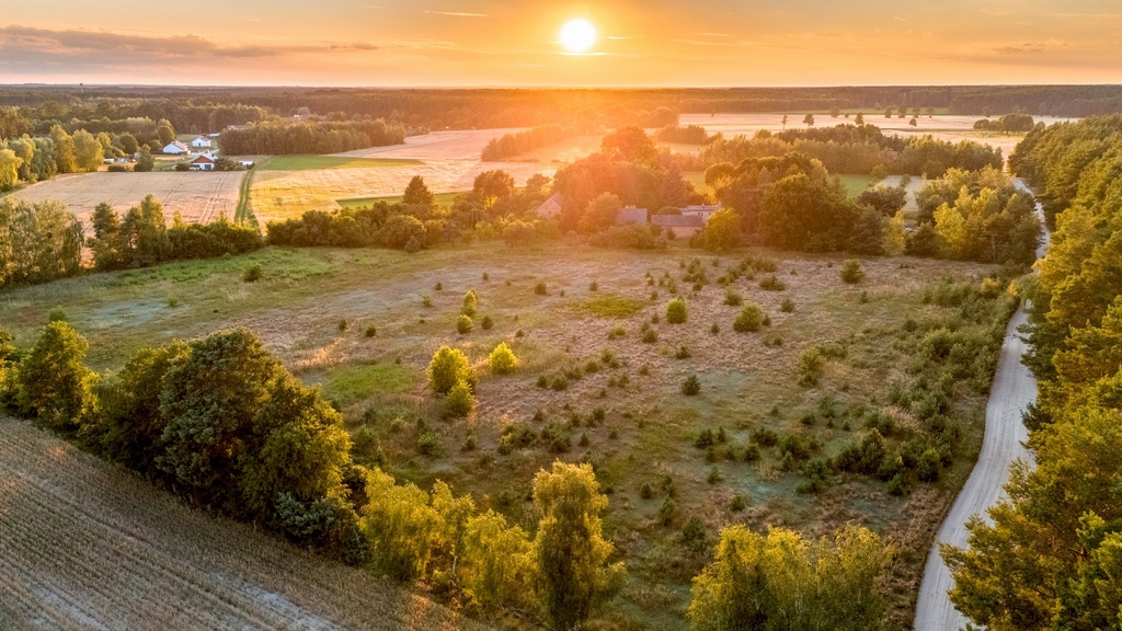 Widok na las, 5 min od miasta