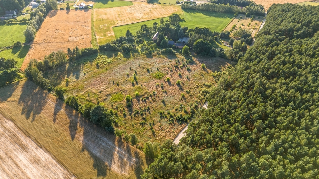 Widok na las, 5 min od miasta