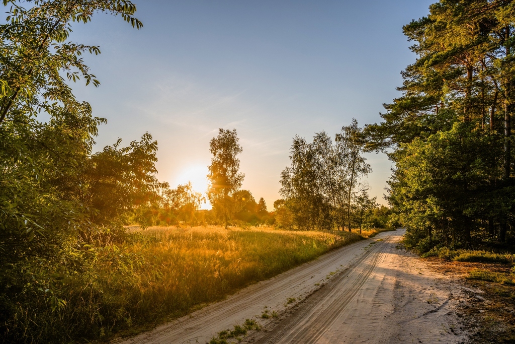 Widok na las, 5 min od miasta